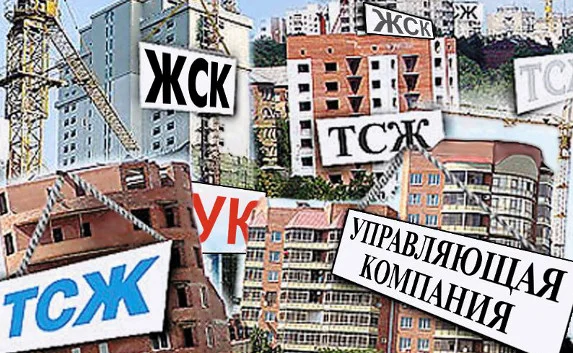 В выборе управляющих компаний участвовали «мёртвые души»