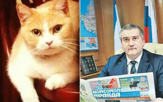 Крымские чиновники похвастались котами