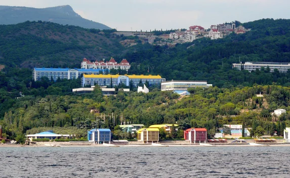 В Крыму местные власти не смогут следить за работой детских здравниц?