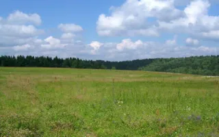В Крыму начали формировать очередь на бесплатное получение земли