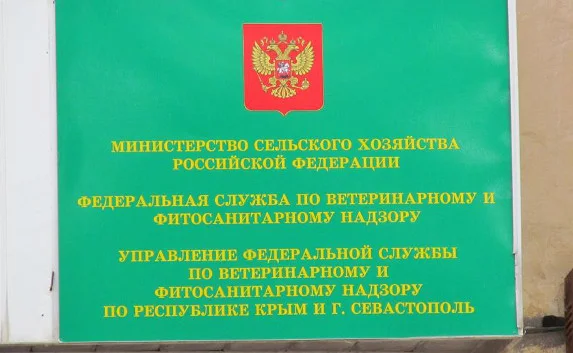 В Крымсельхознадзоре не хватает сотрудников 