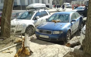 «Дальше хоть камни с неба»? Пока только брёвна на машины...