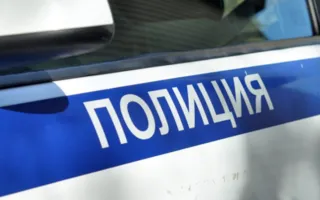 В Сакском районе задержаны трое мужчин за кражи из инкубатора