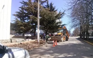 В Севастополе запретили строить стоянку для транспорта 
