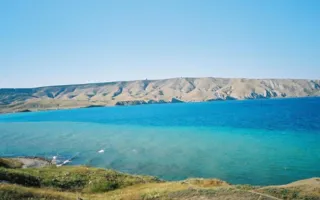 В бухте Двуякорной под Феодосией хотят выращивать сибас и дорадо