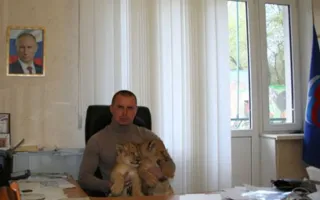 Жителей Симферополя просят придумать имена для двух львят