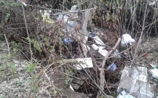 В Крыму дорожные службы завалили лесополосы мусором