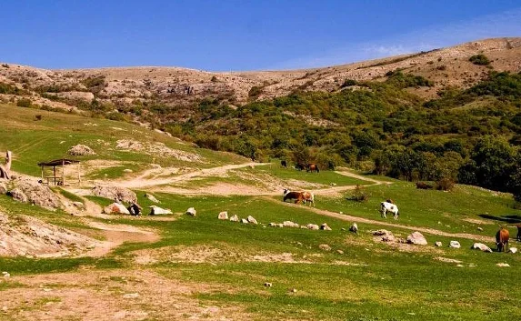 В Крымских горах обнаружили заблудившегося ребёнка