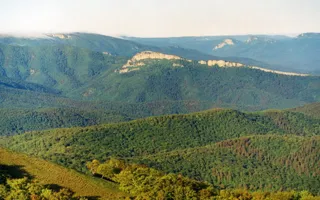 Крымские заповедники могут остаться в региональном подчинении