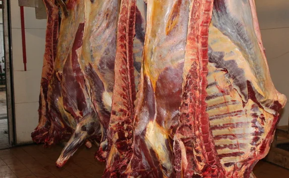 В Крым пытались провезти девять тонн гнилого мяса из Украины