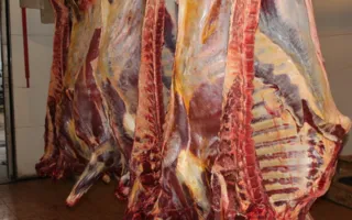 В Крым пытались провезти девять тонн гнилого мяса из Украины