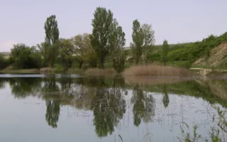 Тело пропавшего в Крыму ребёнка найдено в реке