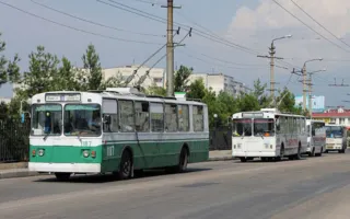 В Севастополе детей-сирот не обеспечили бесплатным проездом