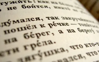 Петербуржцев восхитила любовь крымчан к русскому языку