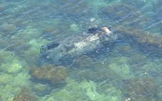В Казачьей бухте Севастополя с обрыва в море упал автомобиль