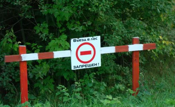 В крымских лесах «ушлые люди» незаконно берут плату с туристов