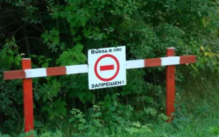 В крымских лесах «ушлые люди» незаконно берут плату с туристов