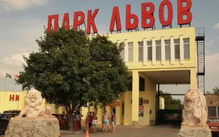 Травму ребёнка и избиение охранника в «Тайгане» проверяет следствие