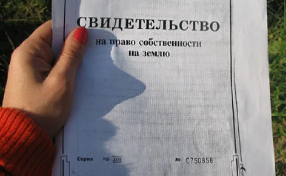 Застройщики леса докажут право собственности на землю в судах