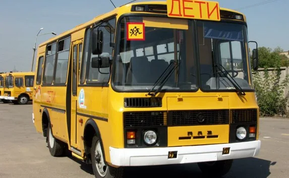 Требования к перевозке групп детей в Севастополе изменятся с 1 июля