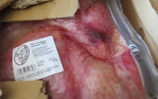 ​У индейки из Украины не всё в порядке с документами