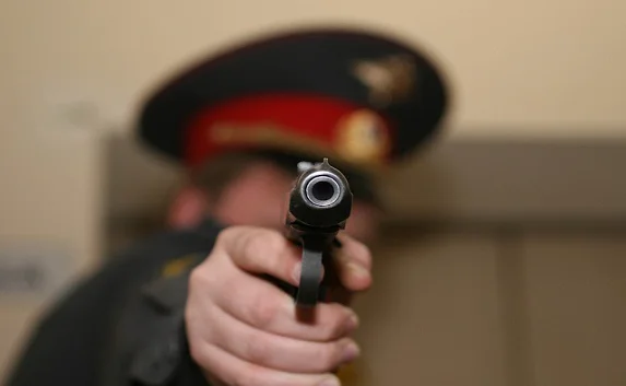 В Крыму полицейскому пришлось выстрелить в преступника при аресте