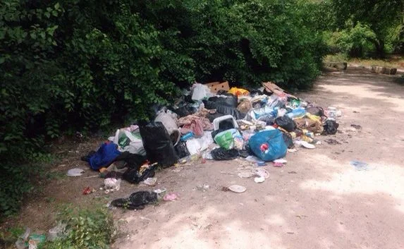 ​Максимова дача в Севастополе превращается в свалку мусора