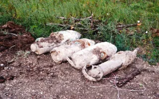 В Севастополе обезвредили шесть авиационных бомб времён ВОВ