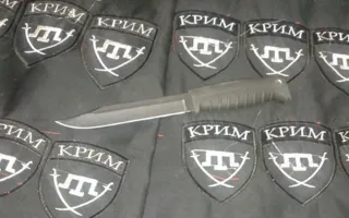 Бальбек: Украина хочет использовать крымских татар в боях на Донбассе