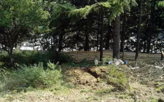 Застройку зелёной зоны в Гурзуфе прокуратура признала незаконной