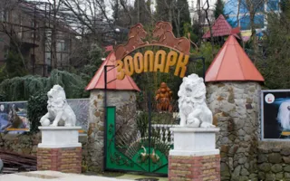  У животных из ялтинской «Сказки» туберкулёза не оказалось
