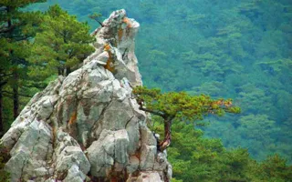 Заповедники Крыма хотят передать в федеральную собственность