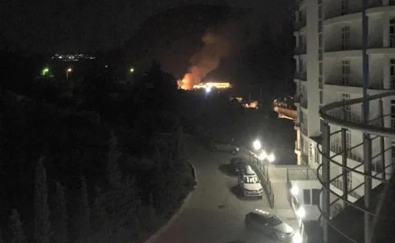 В МЧС Крыма подтвердили, что пожар в «Артеке» всё-таки был