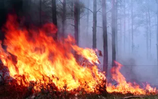В Крыму объявлен высокий уровень пожароопасности