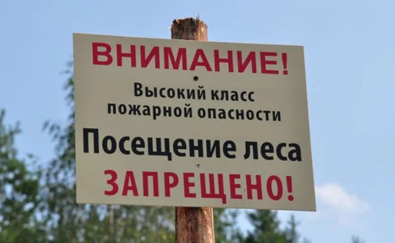 В Севастополе посещать лес можно только в специальных местах