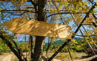 Уникальную Боткинскую тропу в Ялте «окультурят»