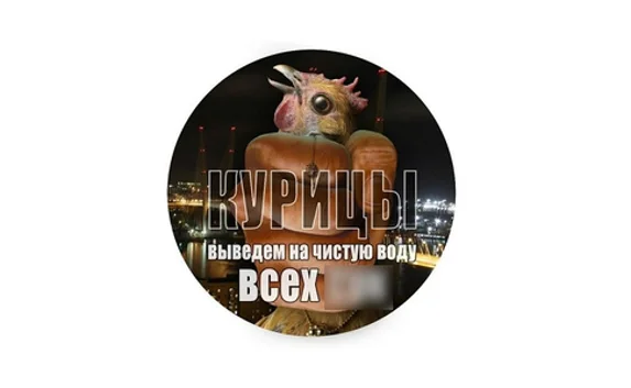 Сообщество «Курицы Севастополя и Крыма» нарушало законы