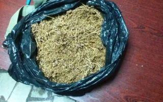 Крымчанина с рюкзаком марихуаны задержали на вокзале Симферополя
