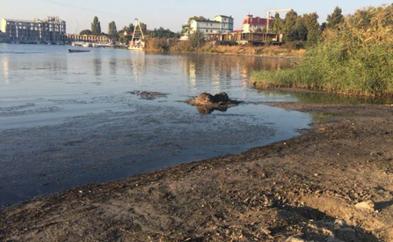 Любителей вейкбординга не пугает запах в бухте Омега