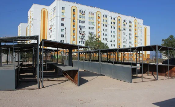 «Блошиный рынок» переехал, сосны поливают