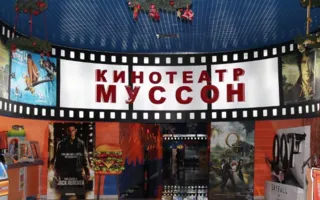 На VIP-местах в кинотеатре «Муссон» обитают мыши
