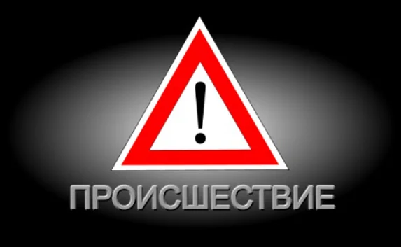 Разыскиваются свидетели ДТП с наездом «Шевроле» на дерево 