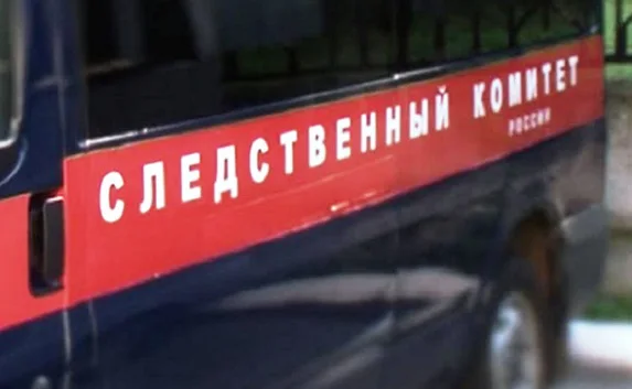 Следствие нашло подозреваемых в ударе девочки током от столба