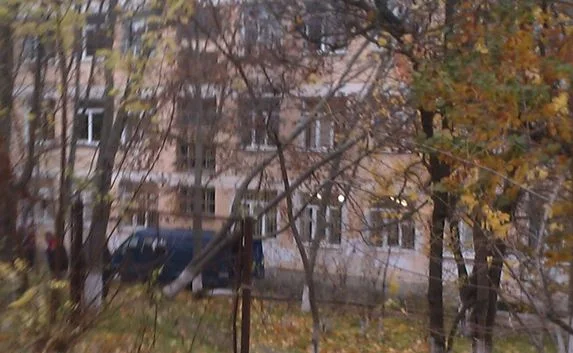 Дерево рухнуло на окна восьмой гимназии в Севастополе