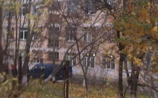 Дерево рухнуло на окна восьмой гимназии в Севастополе