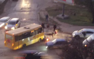 В Севастополе за день в авариях пострадали два мотоциклиста