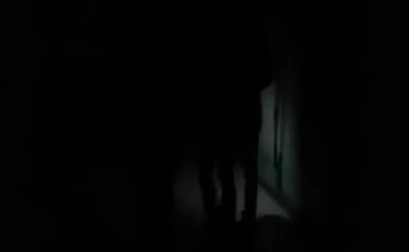 Выключение света в «Муссоне» никого не пугает. Видеофакт 