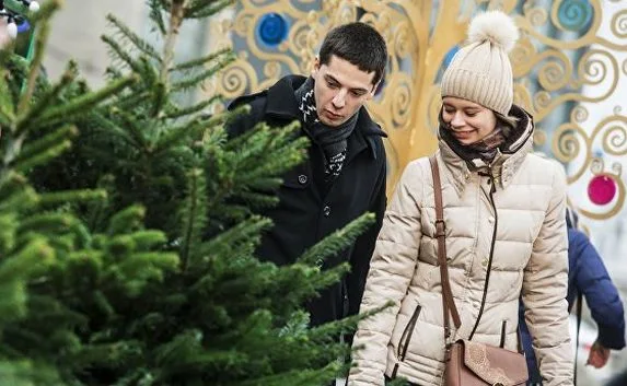 Больше половины россиян отдохнут дома на новогодние праздники