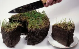 Севастопольца подозревают в афёре с земельными участками