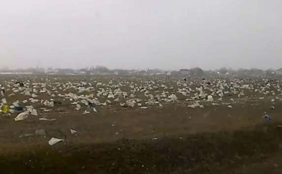 Поля вдоль дороги из Севастополя в Евпаторию «проросли» пакетами